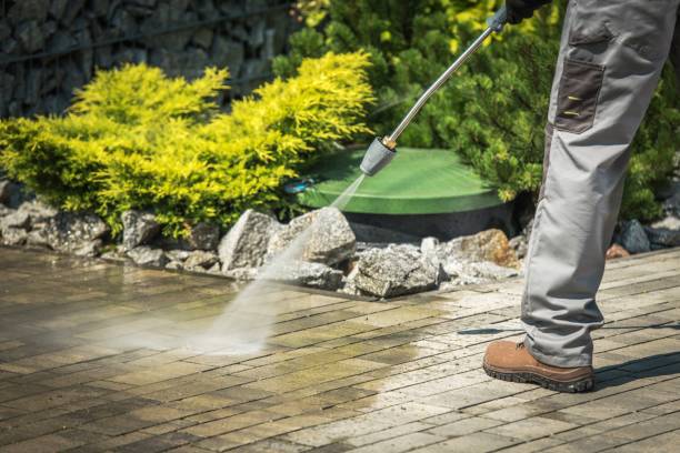 Best Soft Washing  in Deale, MD